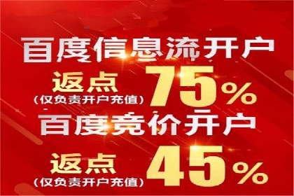 SEO与SEM优化案例：打造行业领先品牌